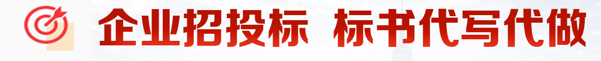 山东济南专业做标书 济南标书制作公司 济南代做标书 济南制作标书公司